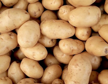 photo-of-pile-of-potatoes-2286776